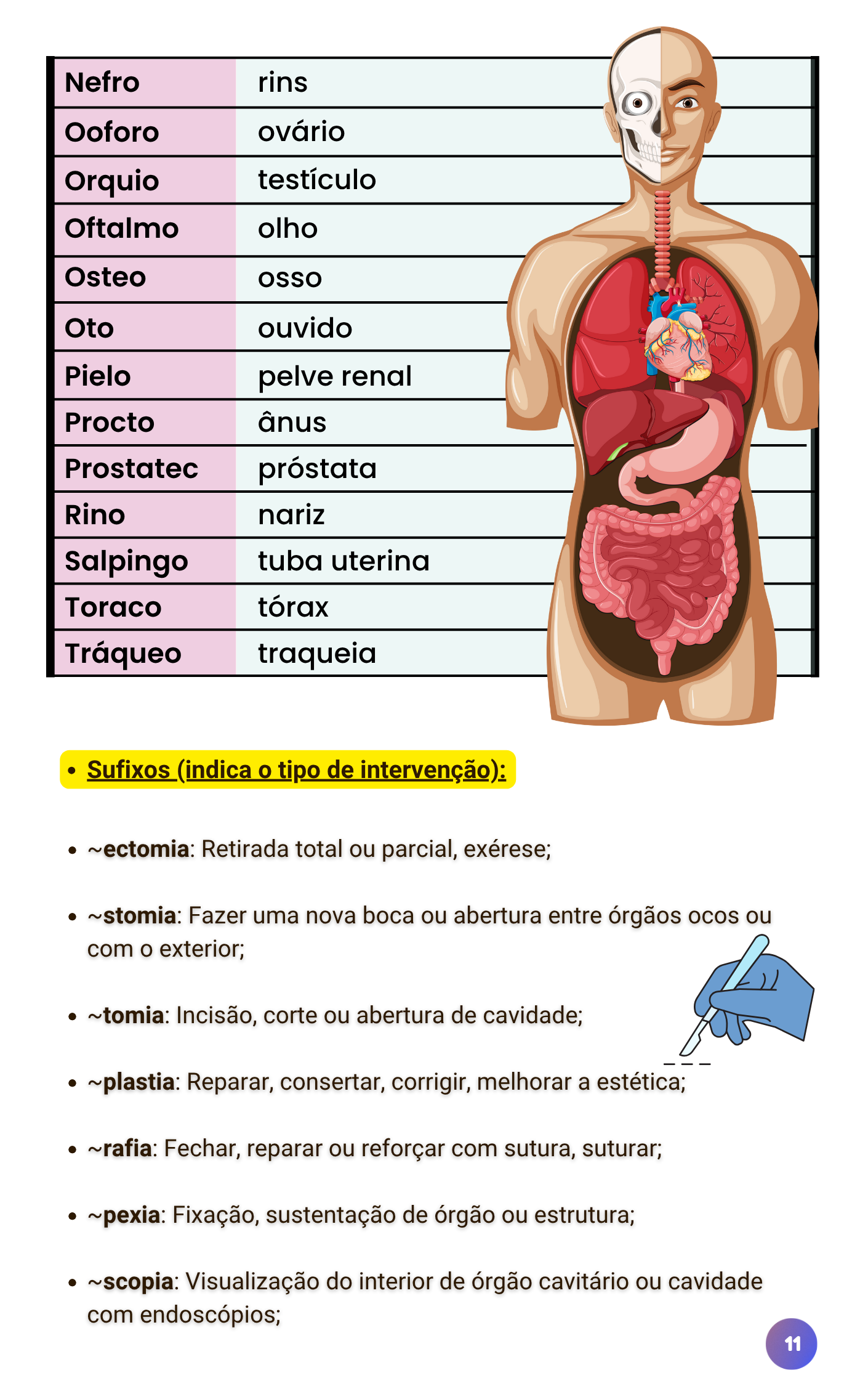 11
